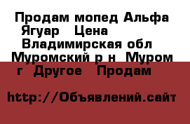 Продам мопед Альфа Ягуар › Цена ­ 34 000 - Владимирская обл., Муромский р-н, Муром г. Другое » Продам   